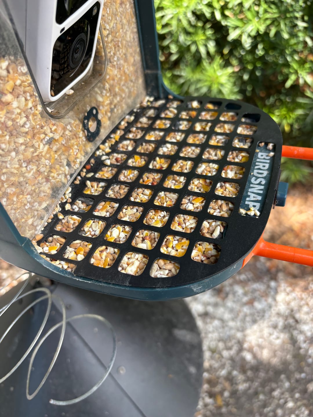 Customer photo review of Squirrel Proof Mesh, compatible with P53n, TUC, PAV