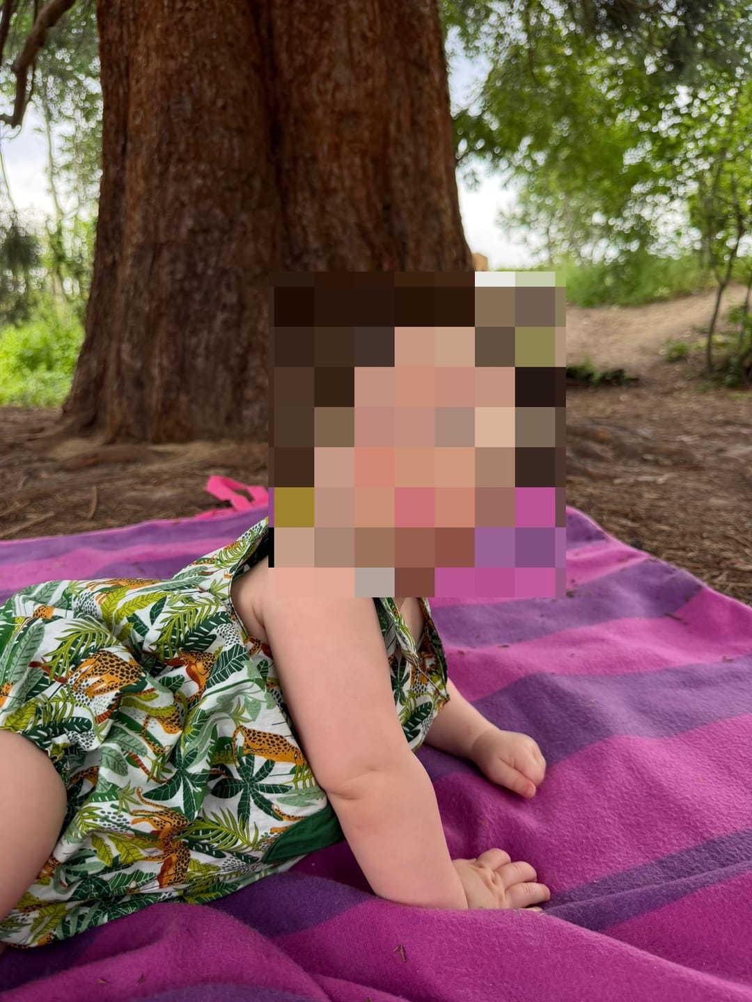 Customer photo review of Jungle Leopards Rose & Hubble Cotton Poplin Fabric