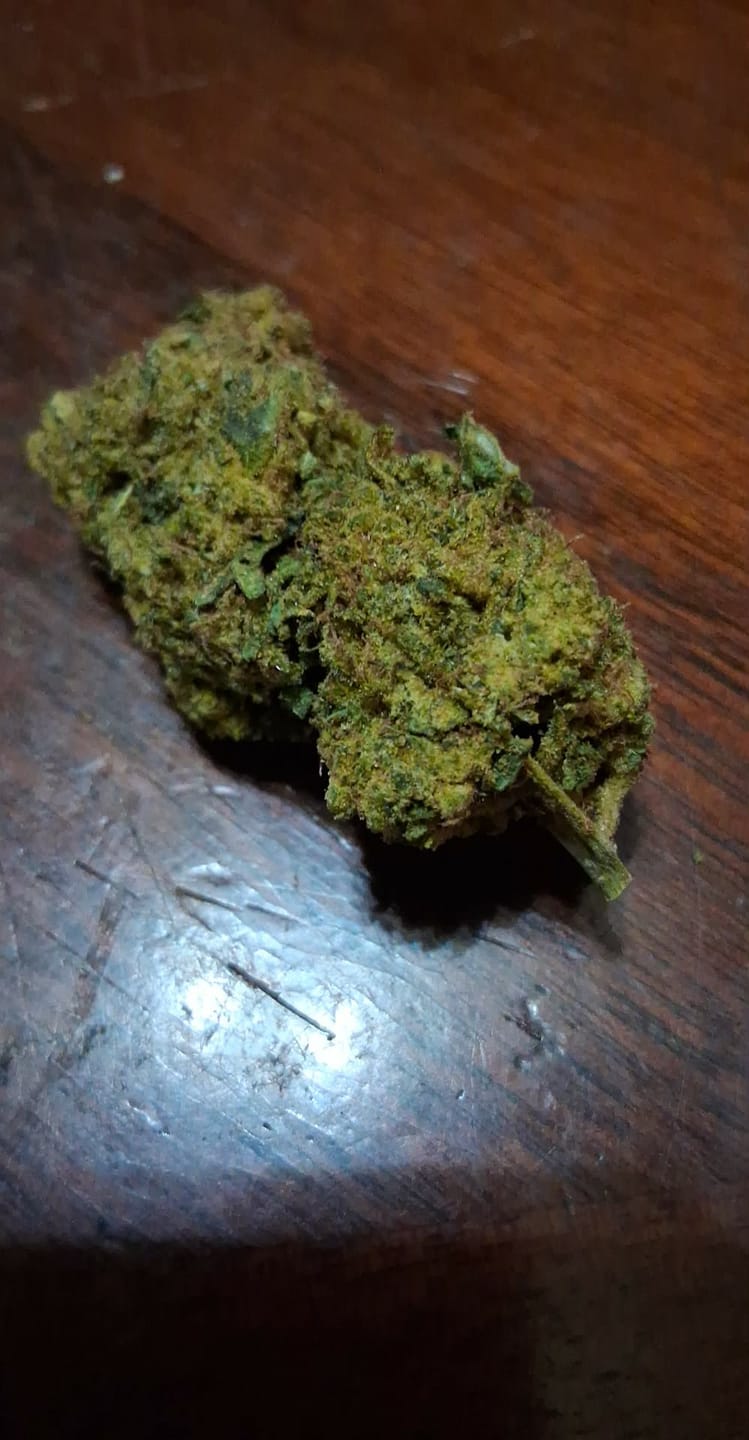 Customer photo review of Super Lemon Haze - 14 Grams - Sativa