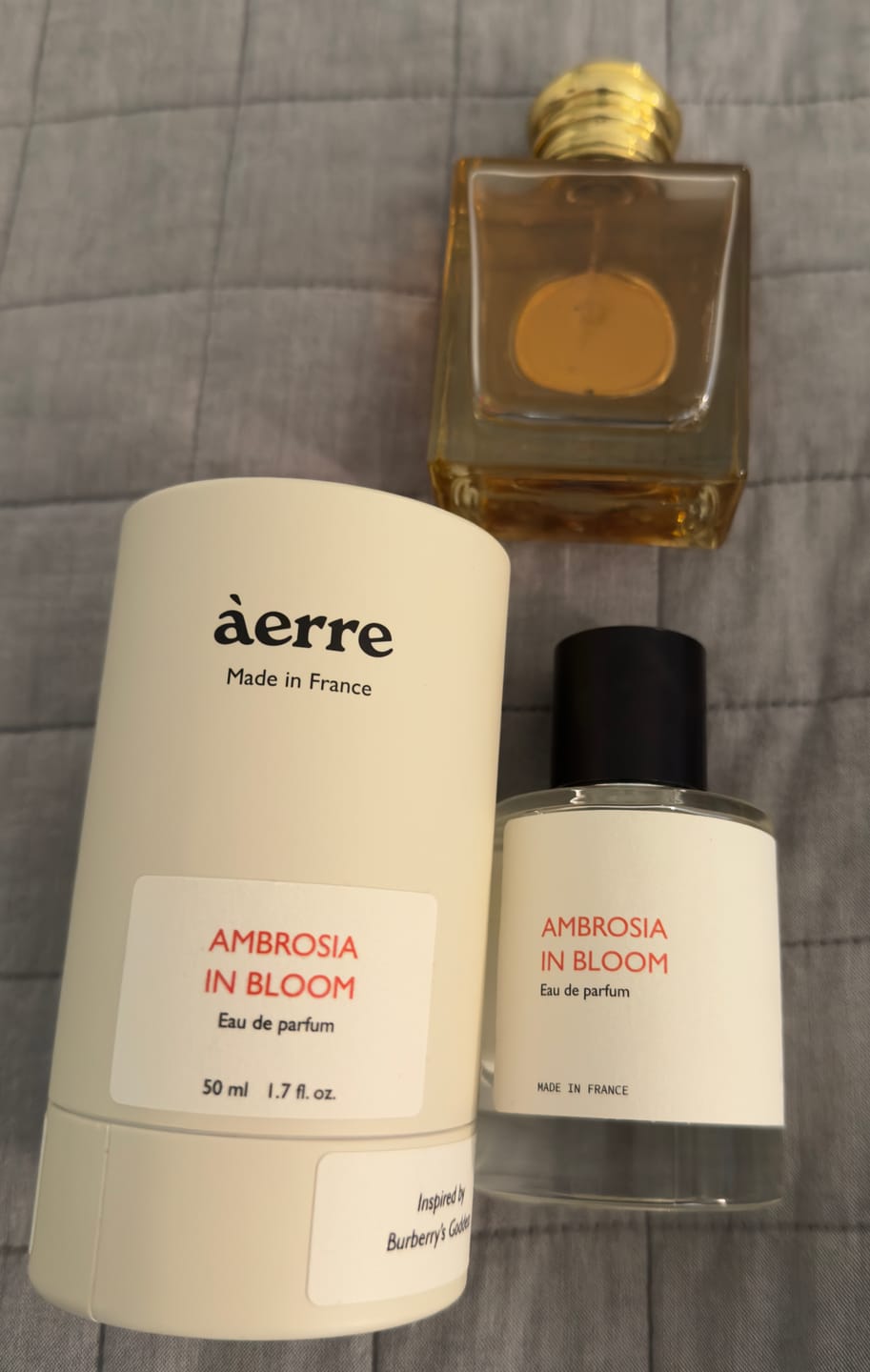 Customer photo review of Ambrosia in Bloom
