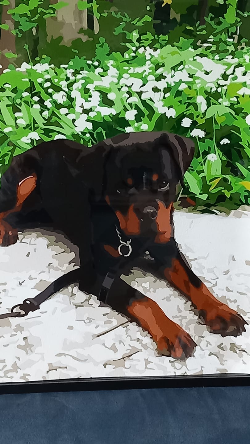 Customer photo review of Malen nach Zahlen - Dein Wunschmotiv
