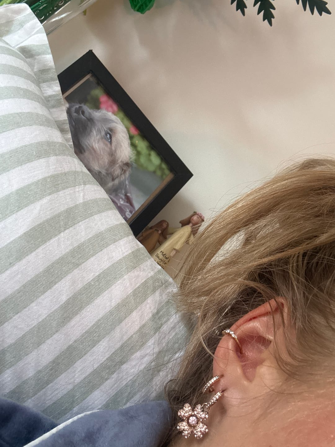 Customer photo review of ASTRA Cartilage Hoop (10mm)