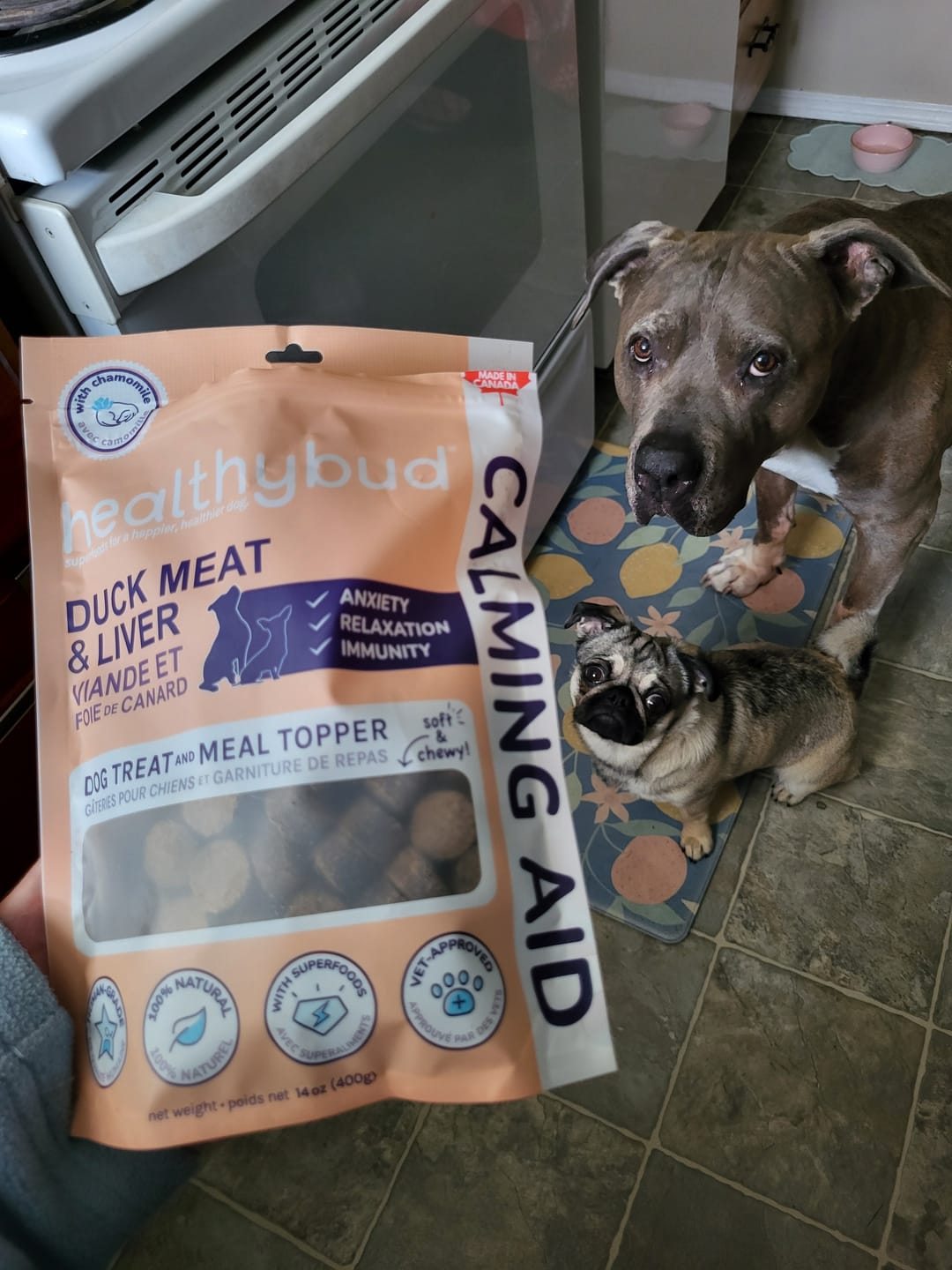 Customer photo review of Duck Calming Aid