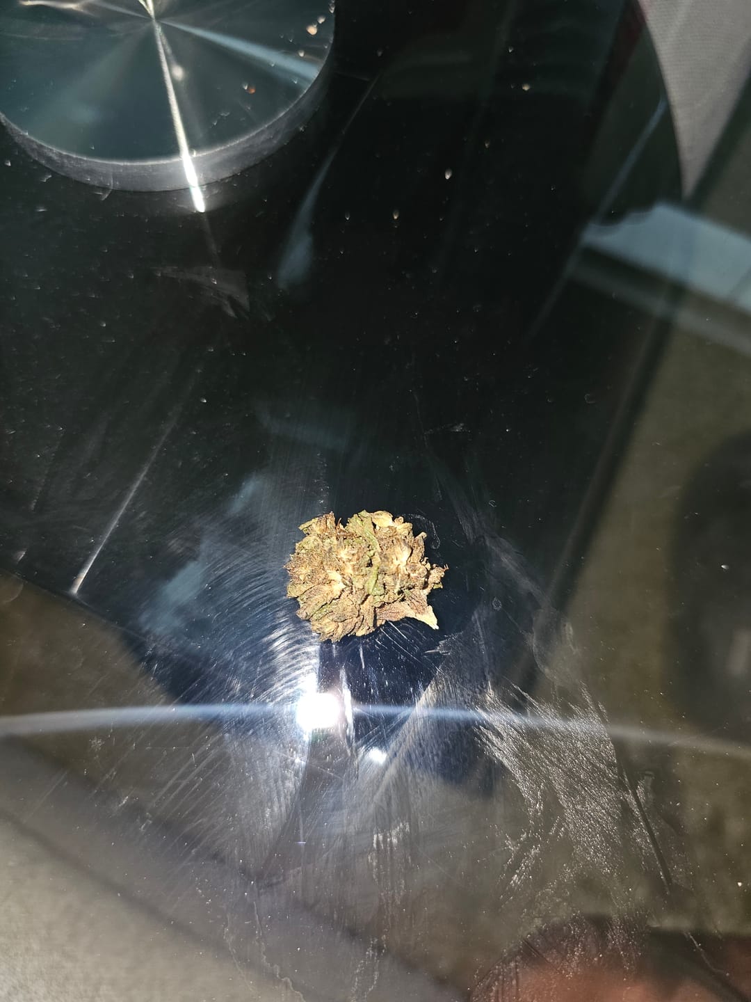 Customer photo review of Wedding Cake - 14 Grams Minis - Indica