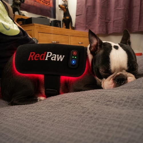 Customer photo review of RedPaw Red Light Therapy