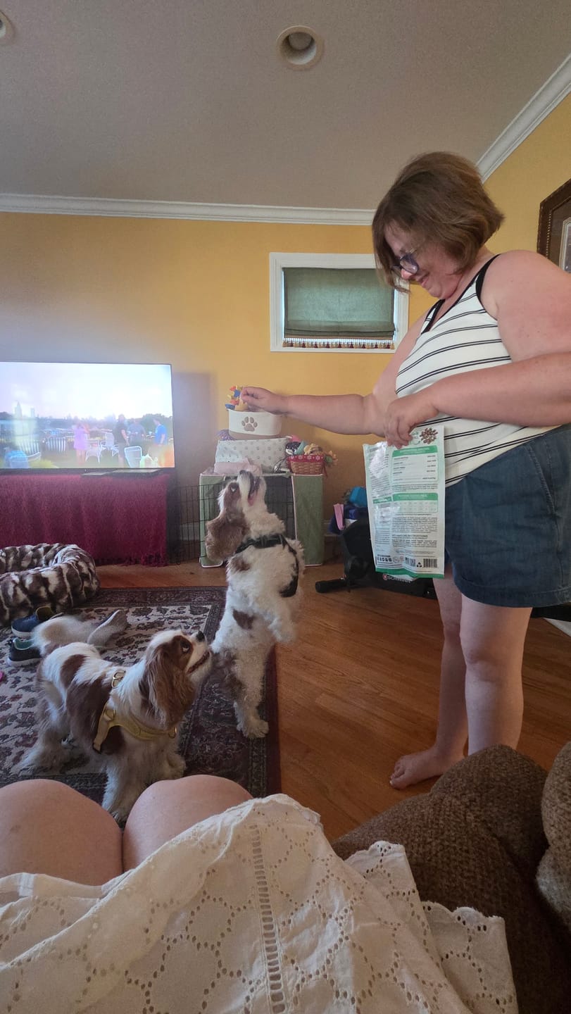 Customer photo review of Beef Meal Bites