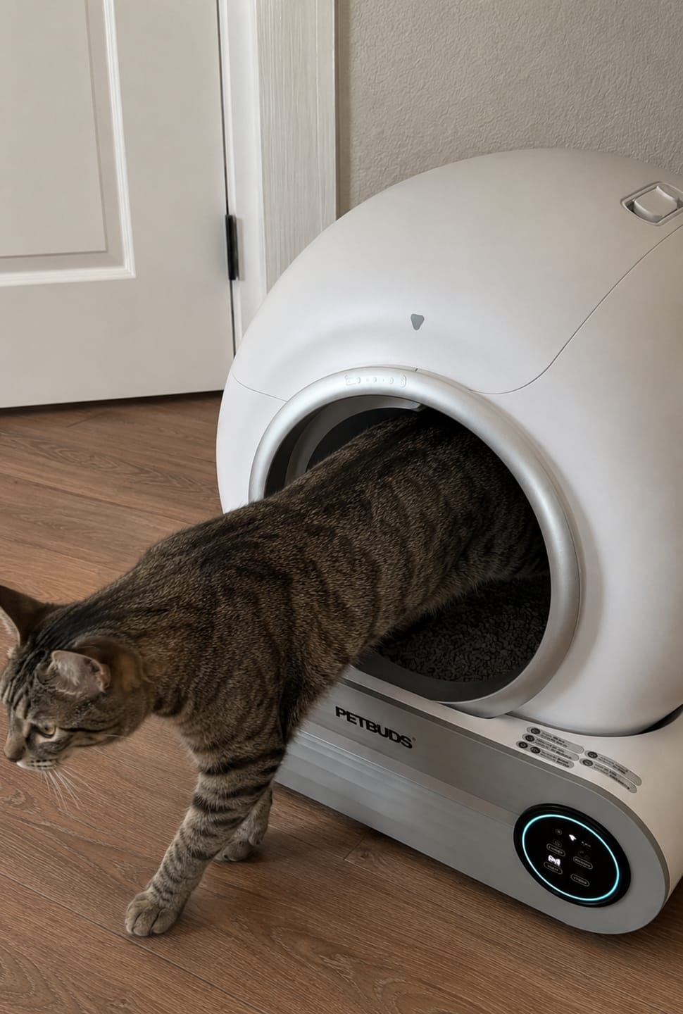 Customer photo review of Petbuds™ Pro 2026 Automatic Self-Cleaning Litter Box