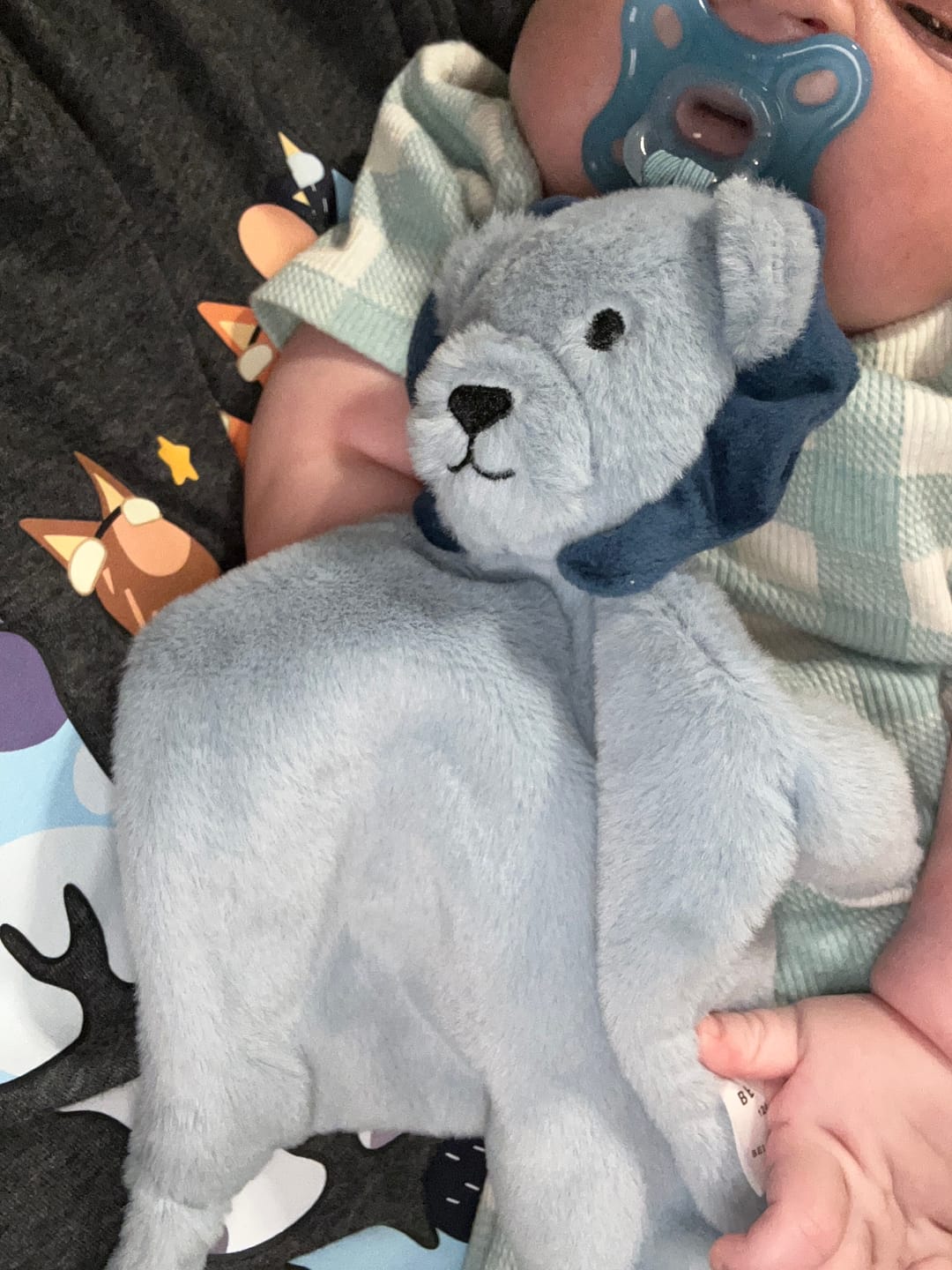 Customer photo review of Pacifier Buddy Leo the Lion