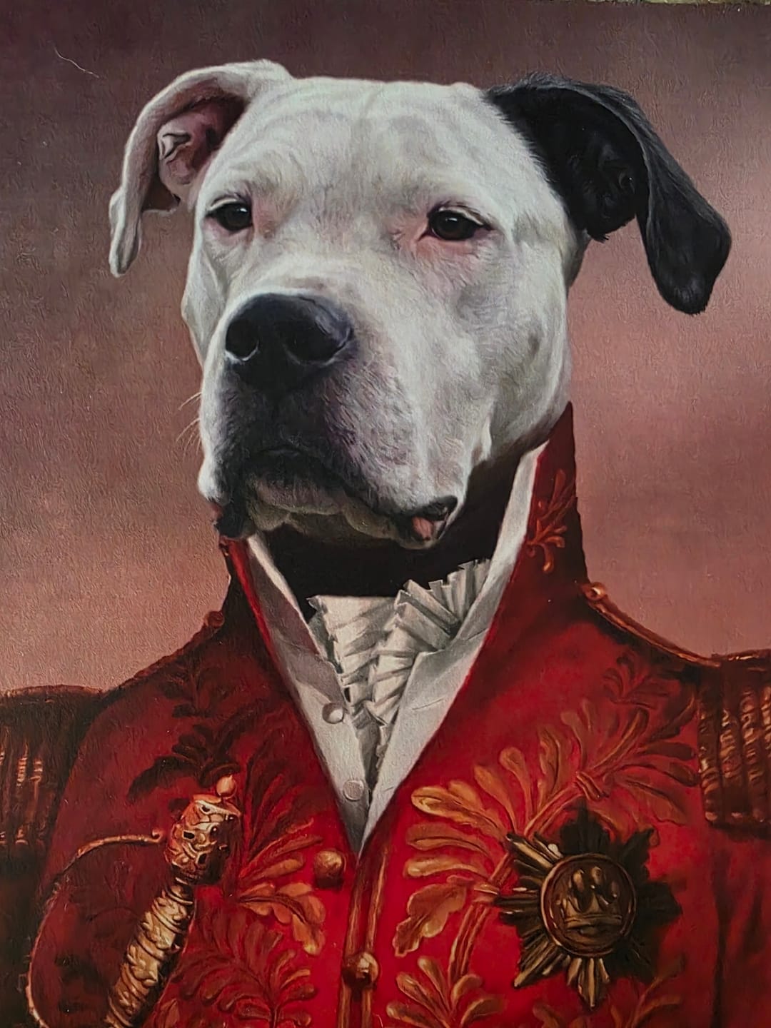 Customer photo review of The Red General - Custom Pet Poster