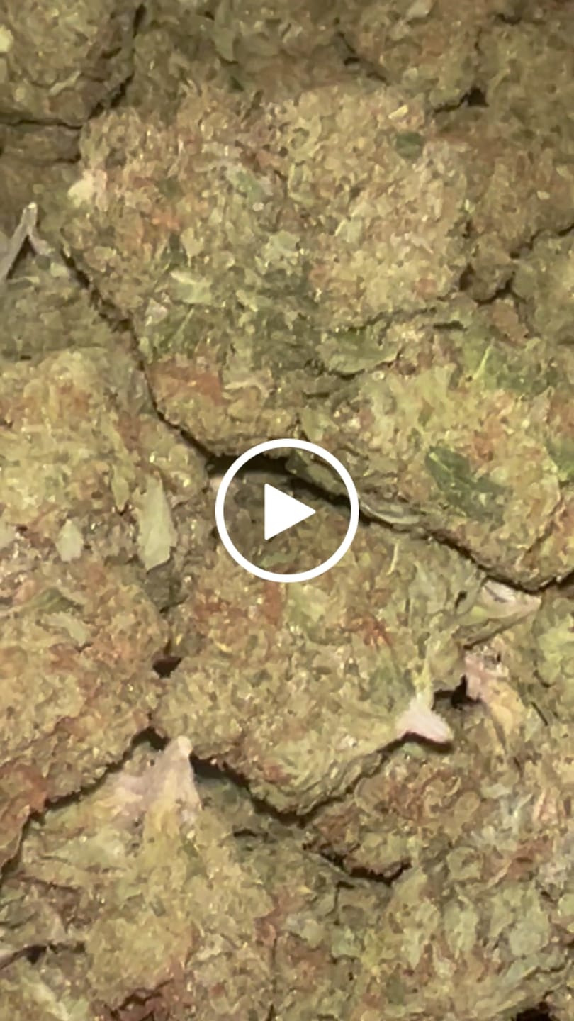 Customer video review of OG Kush - Bulk - Indica
