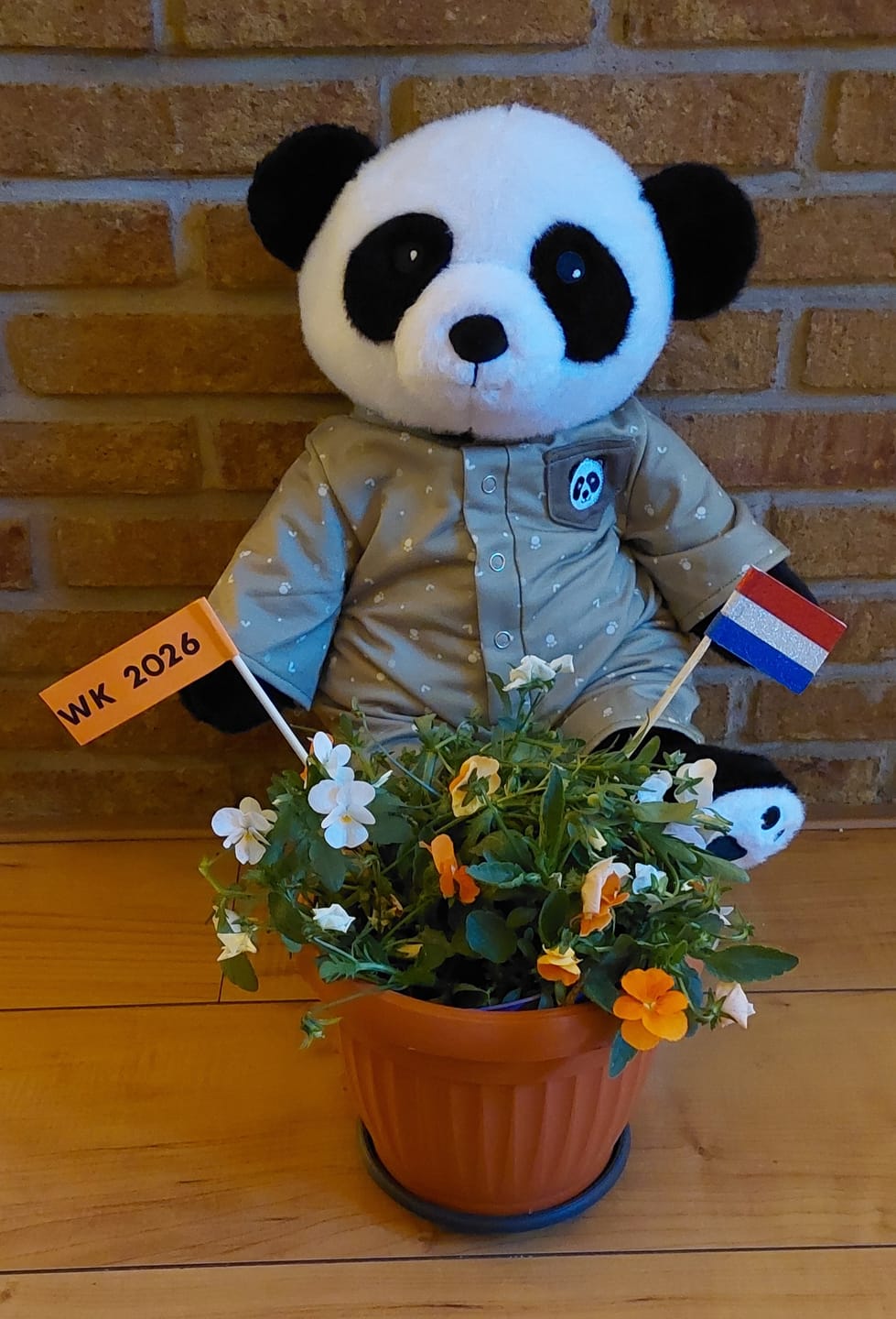 Customer photo review of Panda Kleding Origineel Lotgenootje