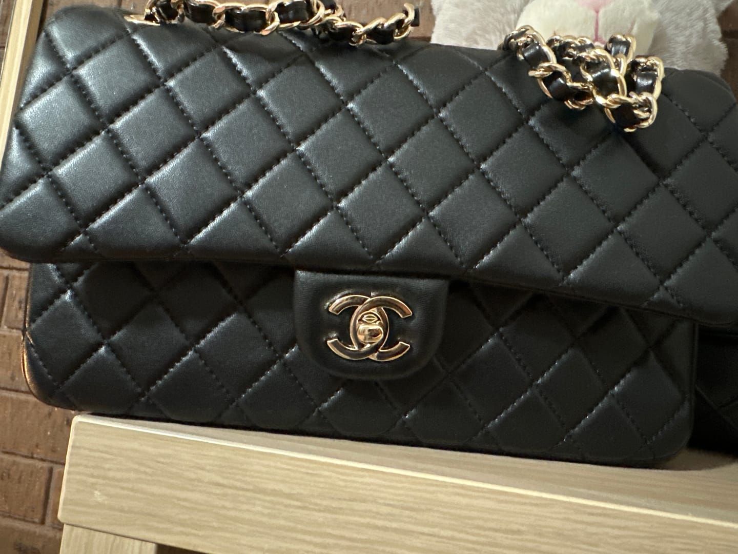 Customer photo review of Chaleni Bag