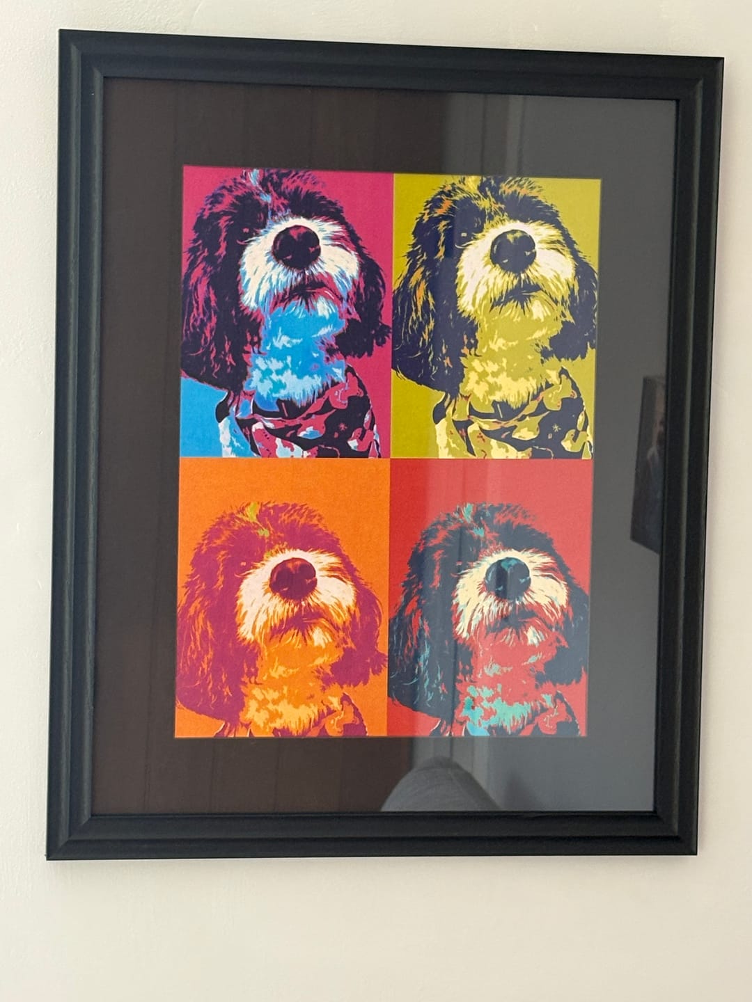 Customer photo review of Personalised Poster With Dog or Cat - Colour Squares