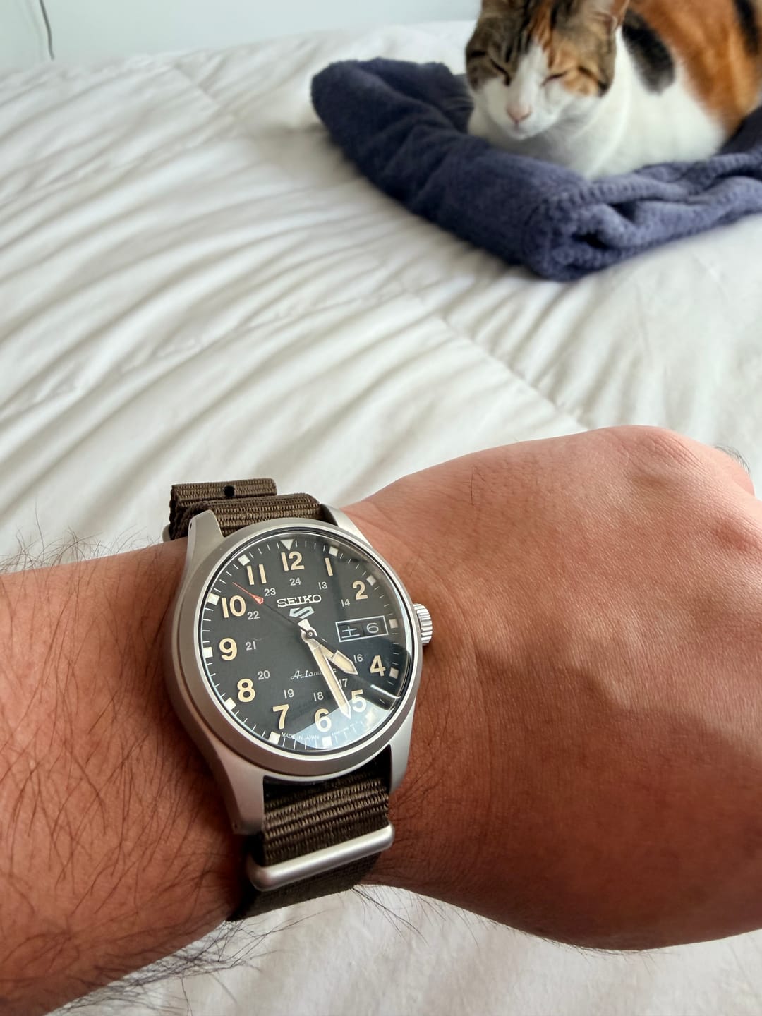 Customer photo review of Reloj Seiko 5 SBSA201 Nato Made in Japan JDM 36,4mm
