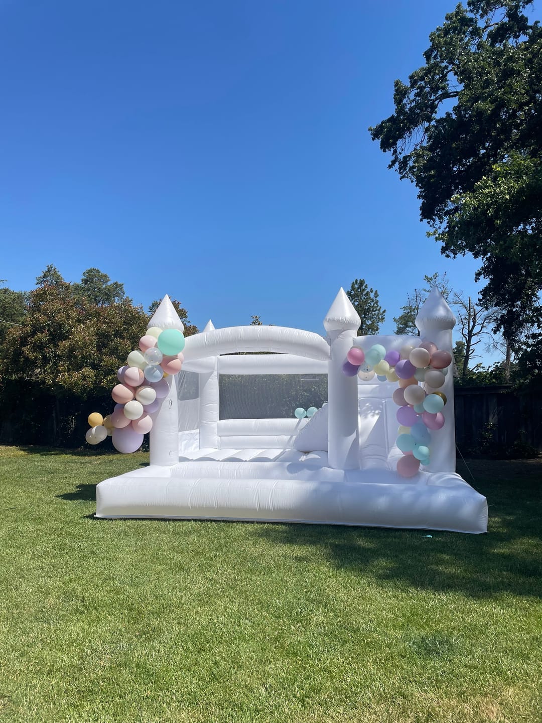 Customer photo review of 15ft Commercial White Bounce House for Adults with Slide & Ball Pit