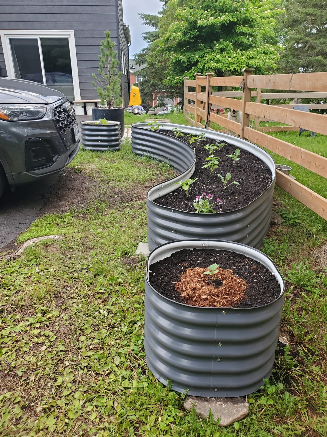 Customer photo review of 17” Tall Round (Twin Pack)