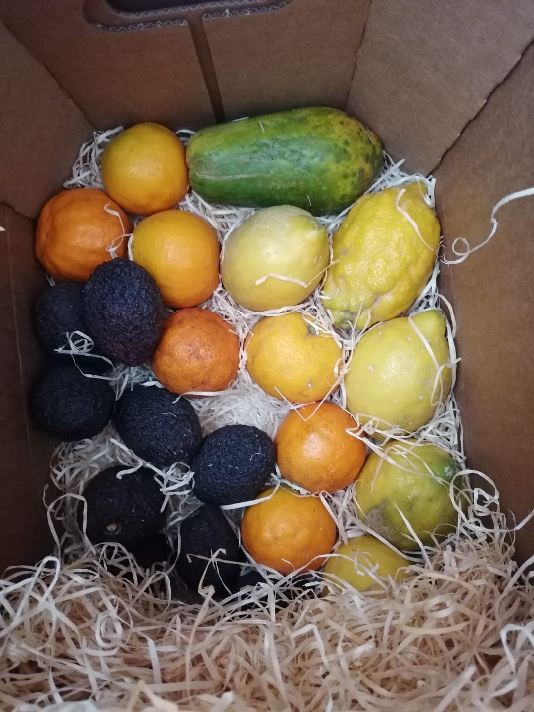 Customer photo review of Bio Obst & Gemüse Retterbox 5kg