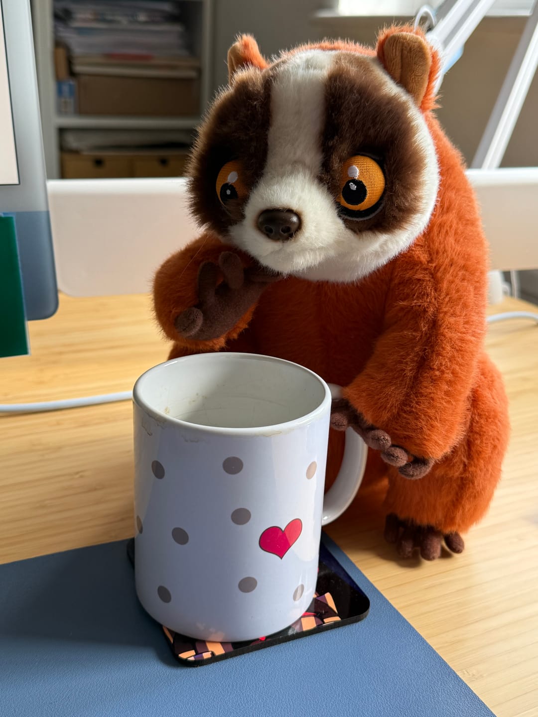 Customer photo review of Lifelike Red Slender Loris Plush – Soft, Cuddly, and Adorable