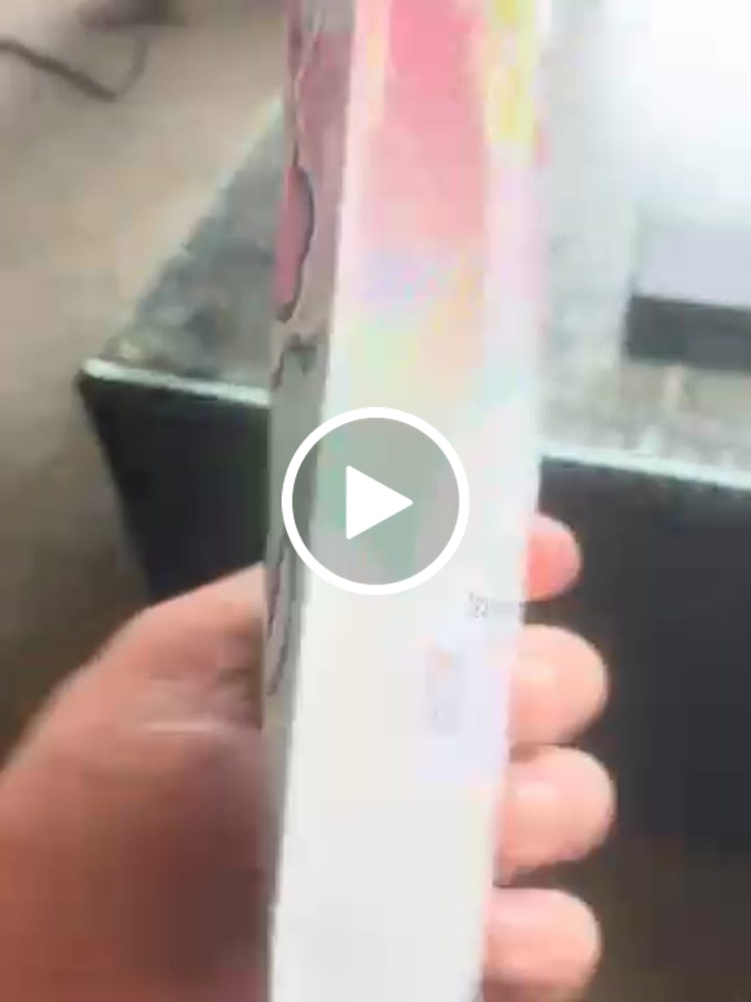 Customer video review of Pink Zlushie Indoor - 14 Grams Littles - Hybrid