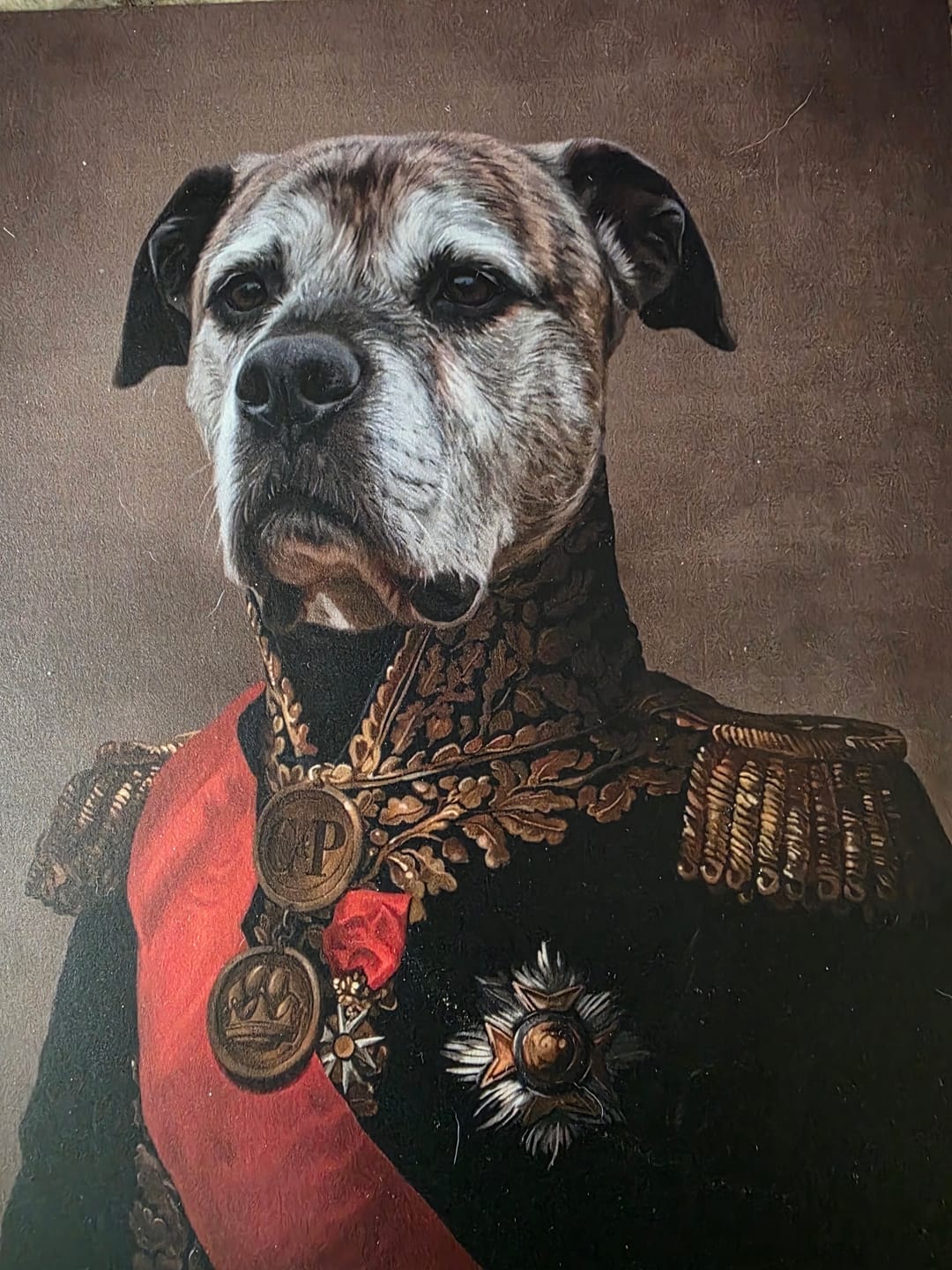 Customer photo review of The Major - Custom Pet Poster