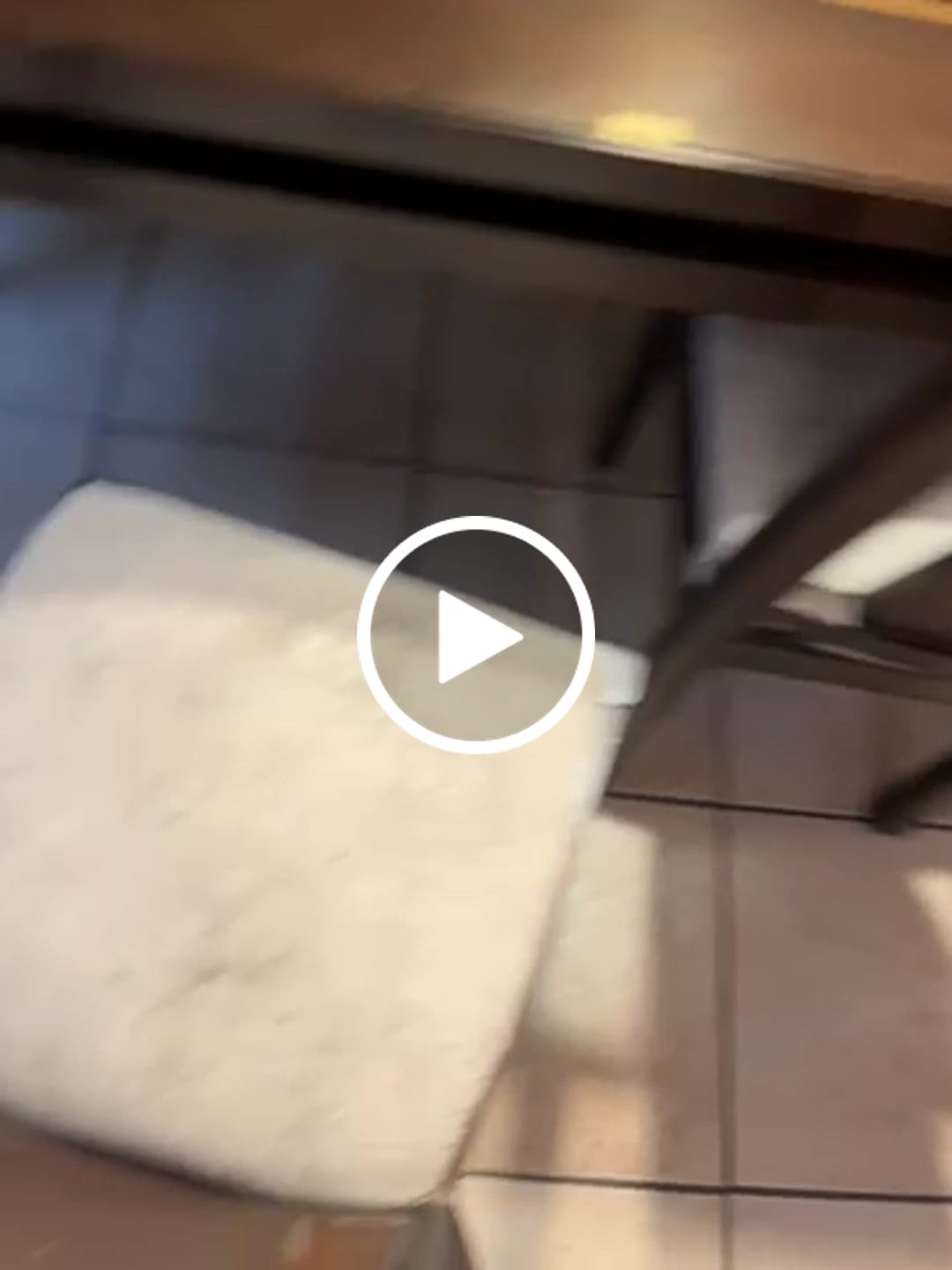 Customer video review of Cepillo Taladro