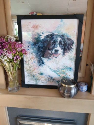 Customer photo review of Watercolour -  Personalised Poster