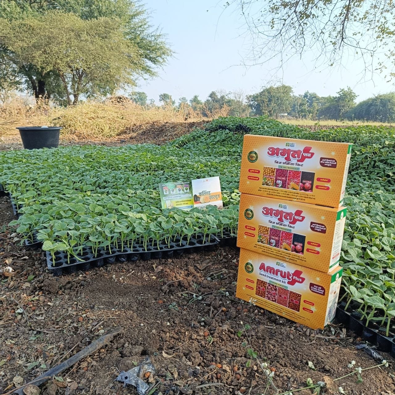 Customer photo review of Amrut Plus Seed Treatment Kit