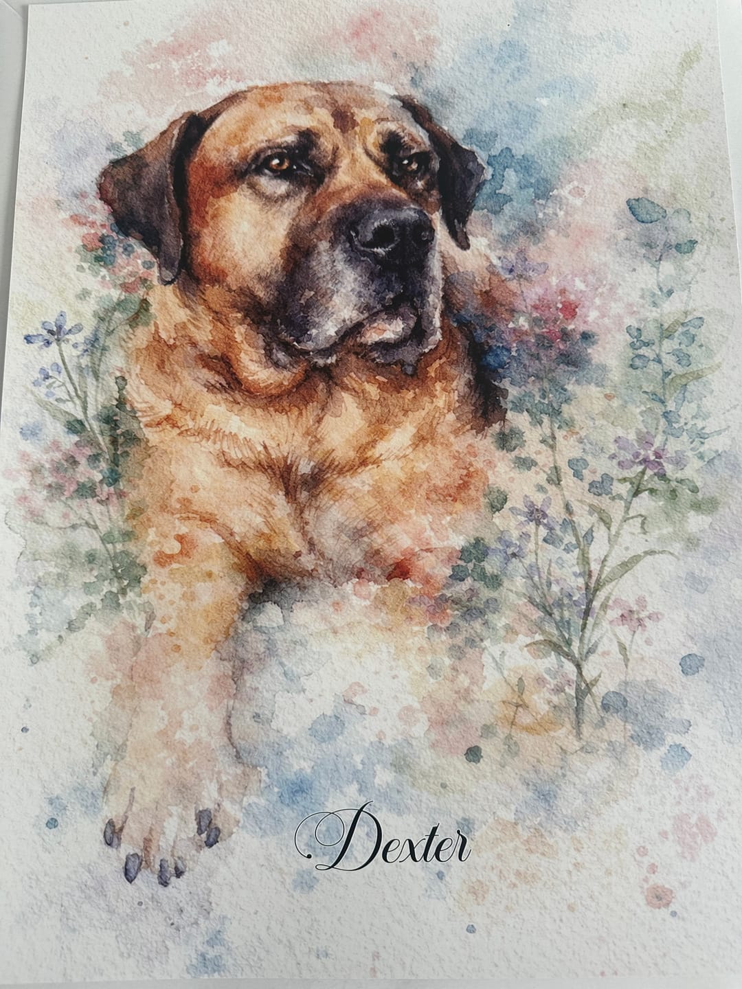 Customer photo review of Personalised Poster With Dog or Cat - Watercolour