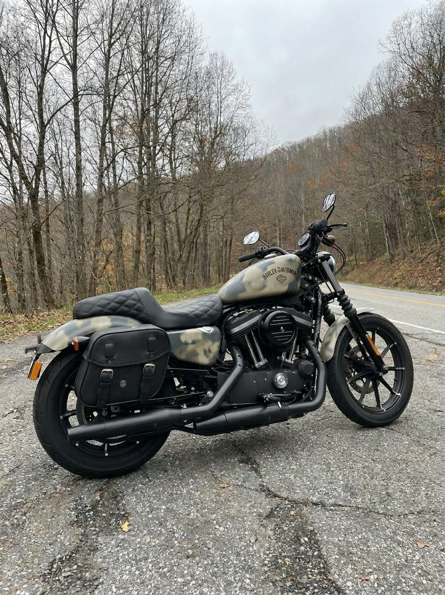 Customer photo review of 25L - Arch Large Shock Cutout Leather Motorcycle Saddlebags for Harley Sportster 883 Iron XL883N
