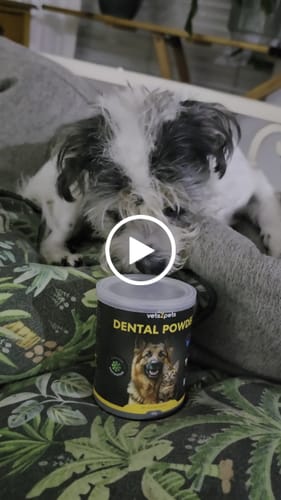 Customer video review of Dental Powder