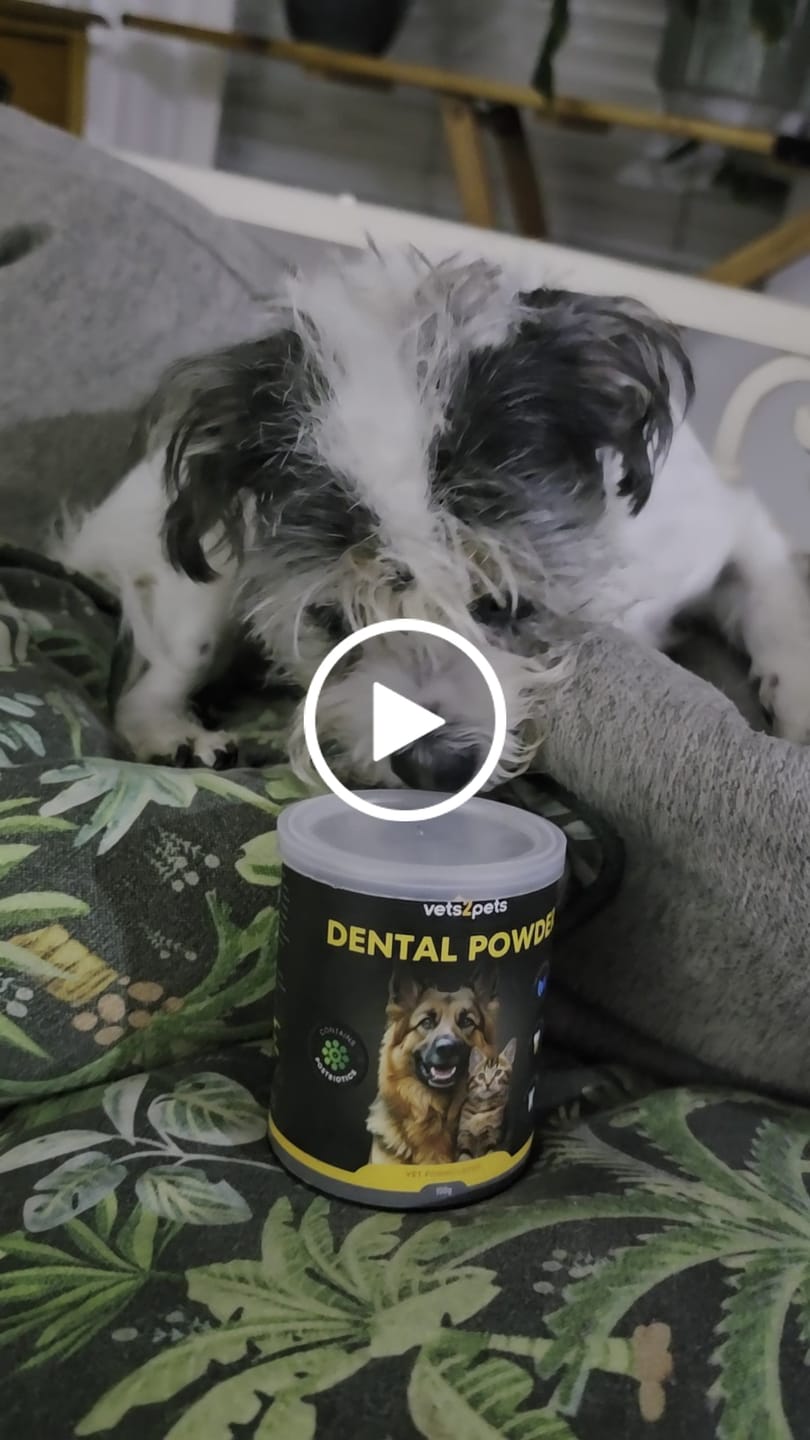 Customer video review of Dental Powder