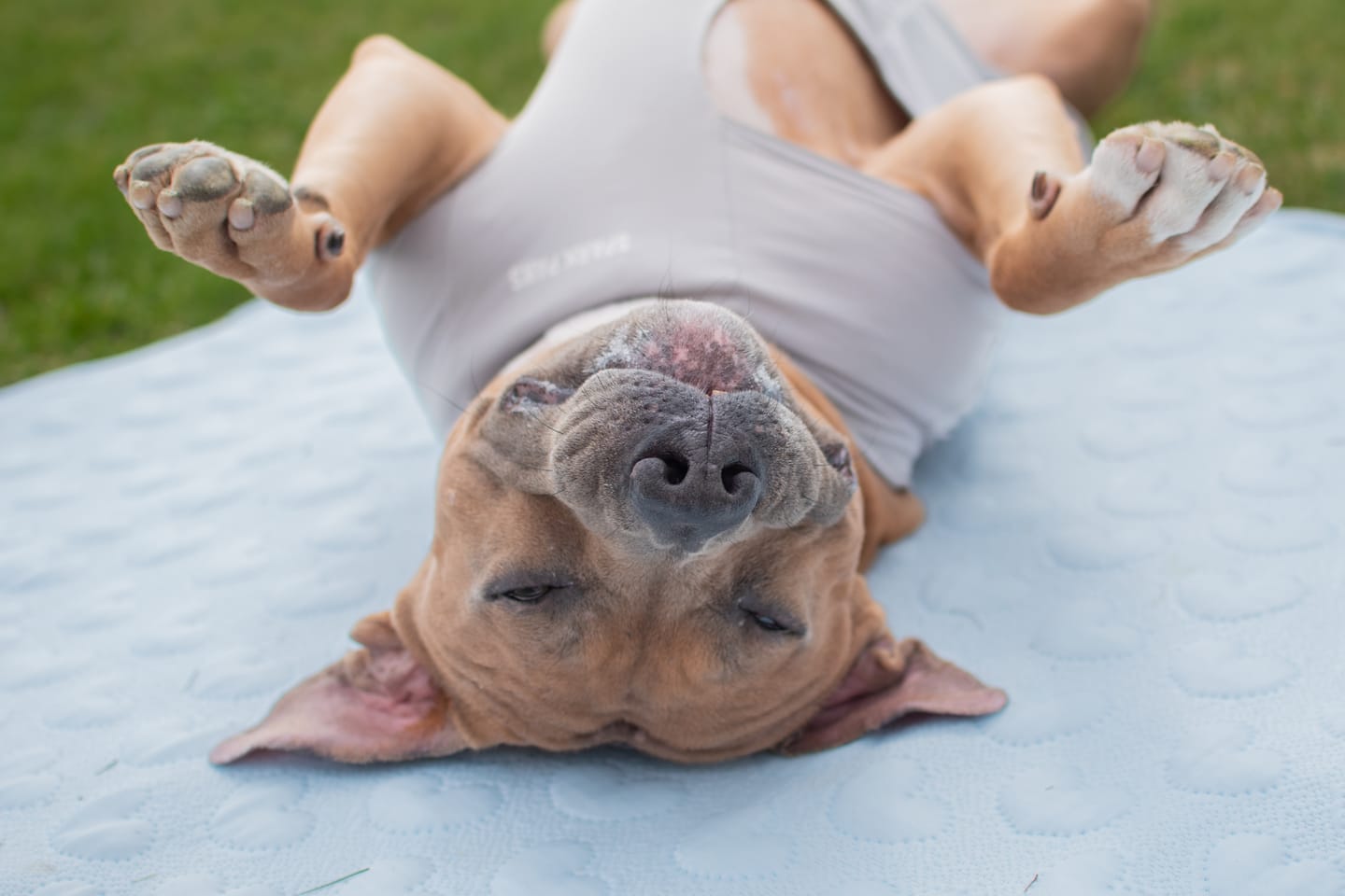 Customer photo review of Frostcore™ Cooling Mat 2 Pack