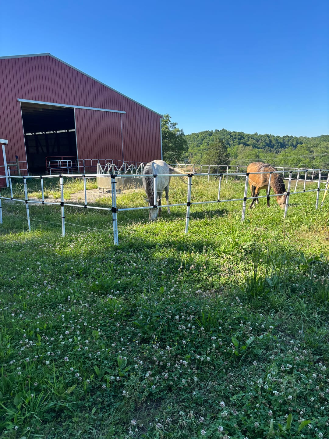 Customer photo review of Ready Made Portable Electric Horse Corral Fencing: (Electric EconoLine 14+4=18 Panels; 2 Rails)