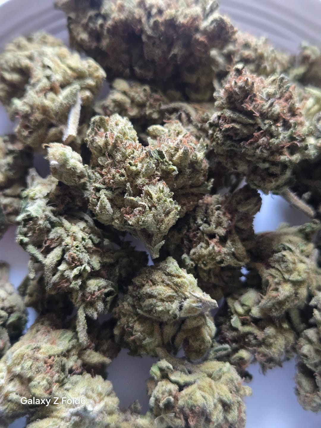 Customer photo review of Watermelon Runtz - Bulk - Indica