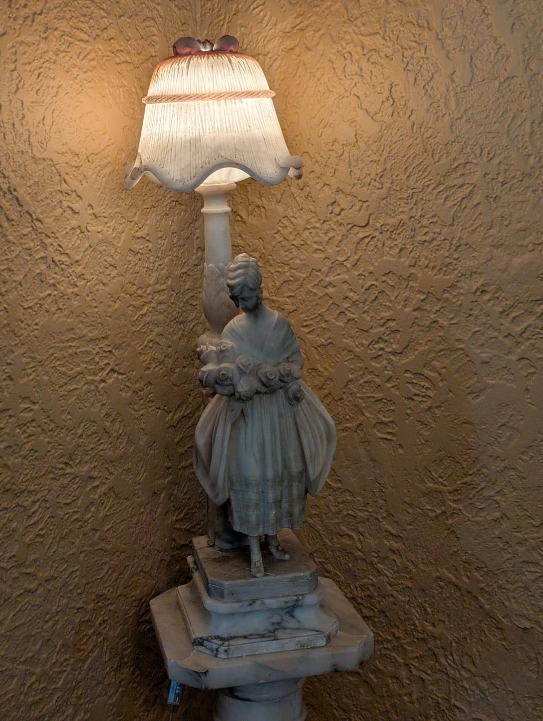 Customer photo review of Clear Parallel Cord set with Full Range dimmer switch - 11 ft.