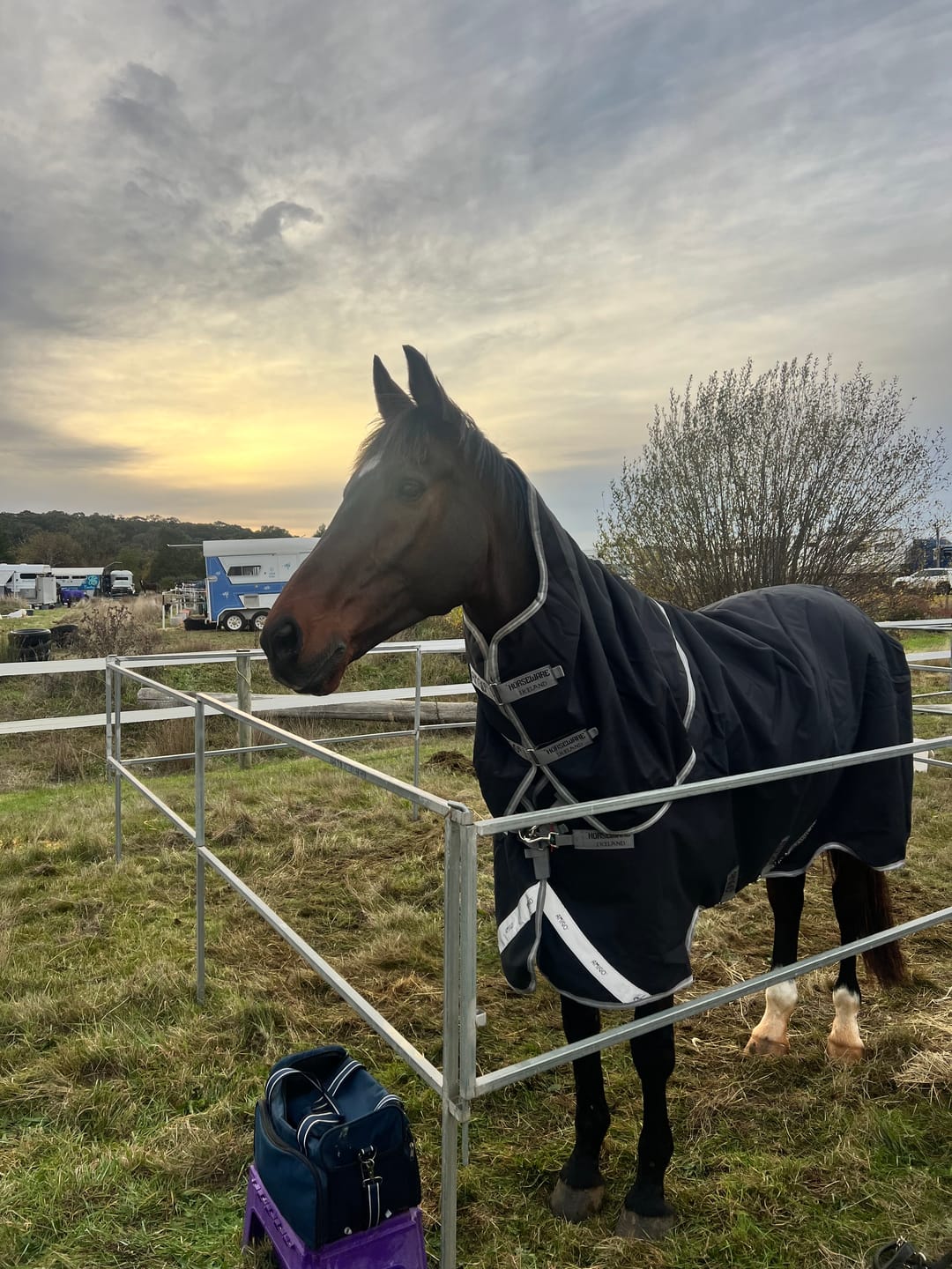 Customer photo review of Amigo 1200D Plus Turnout 250g