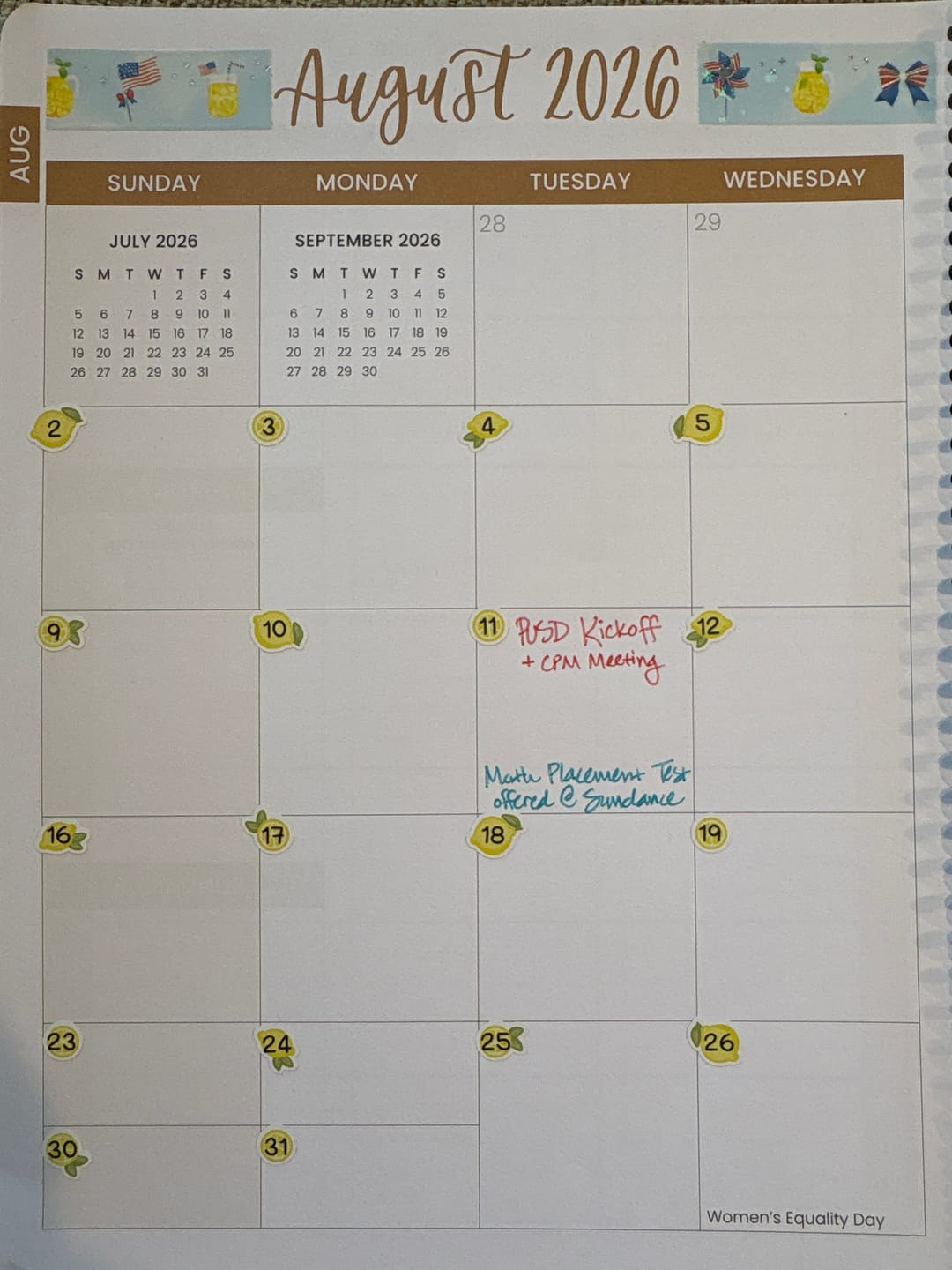 Customer photo review of Numbers - Blueberry Lemonade Planner Stickers