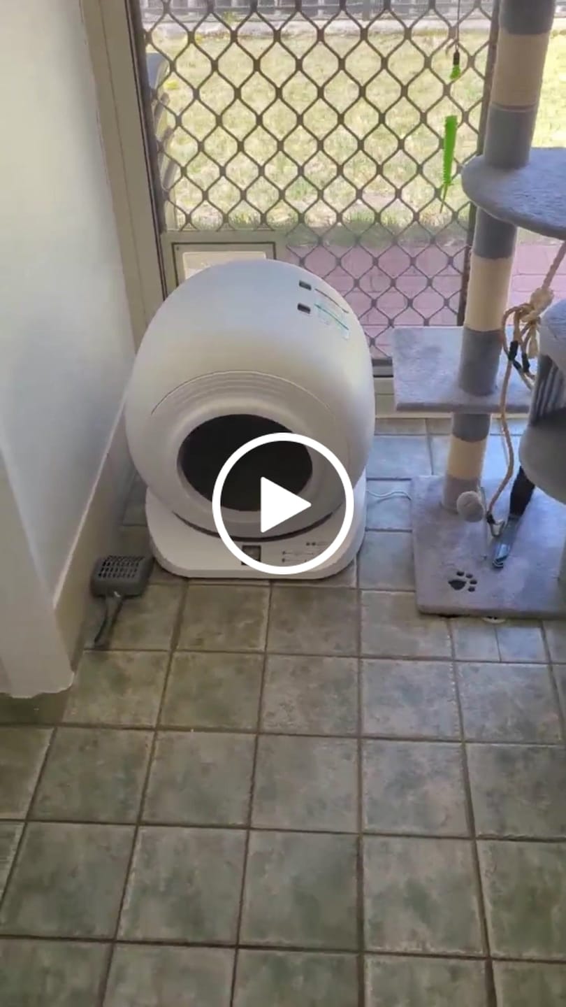 Customer video review of The Petbuds Q-CLEAN Automatic Self-Cleaning Litter Box