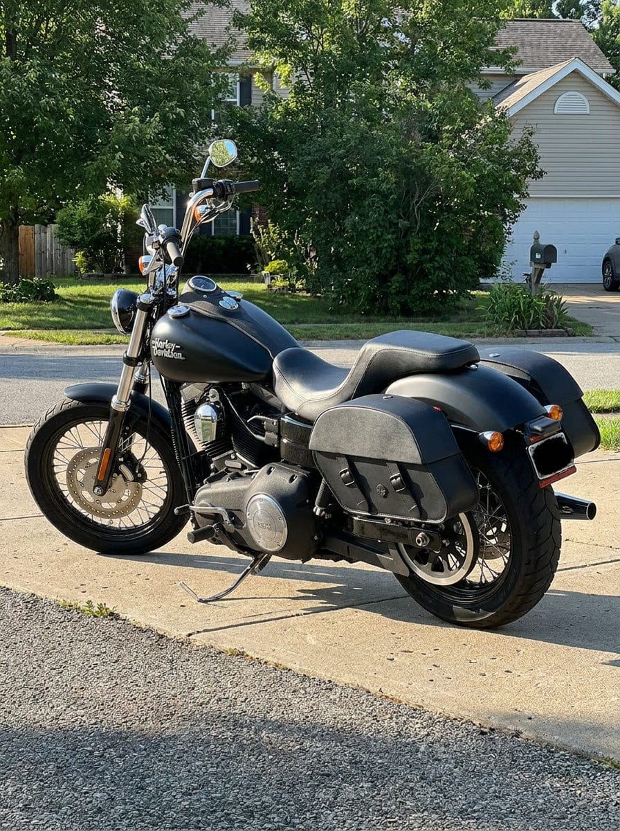 Customer photo review of 32L - Baelor Large Hard Mount Shock Cutout Saddlebags for Harley Dyna Street Bob FXDB/I