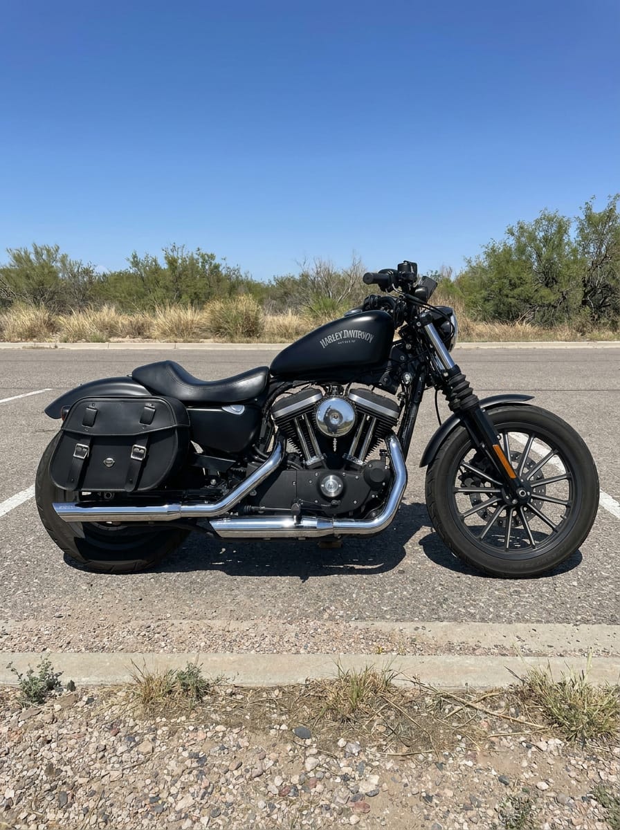 Customer photo review of 25L - Arch Large Shock Cutout Leather Motorcycle Saddlebags for Harley Sportster 883 Iron XL883N
