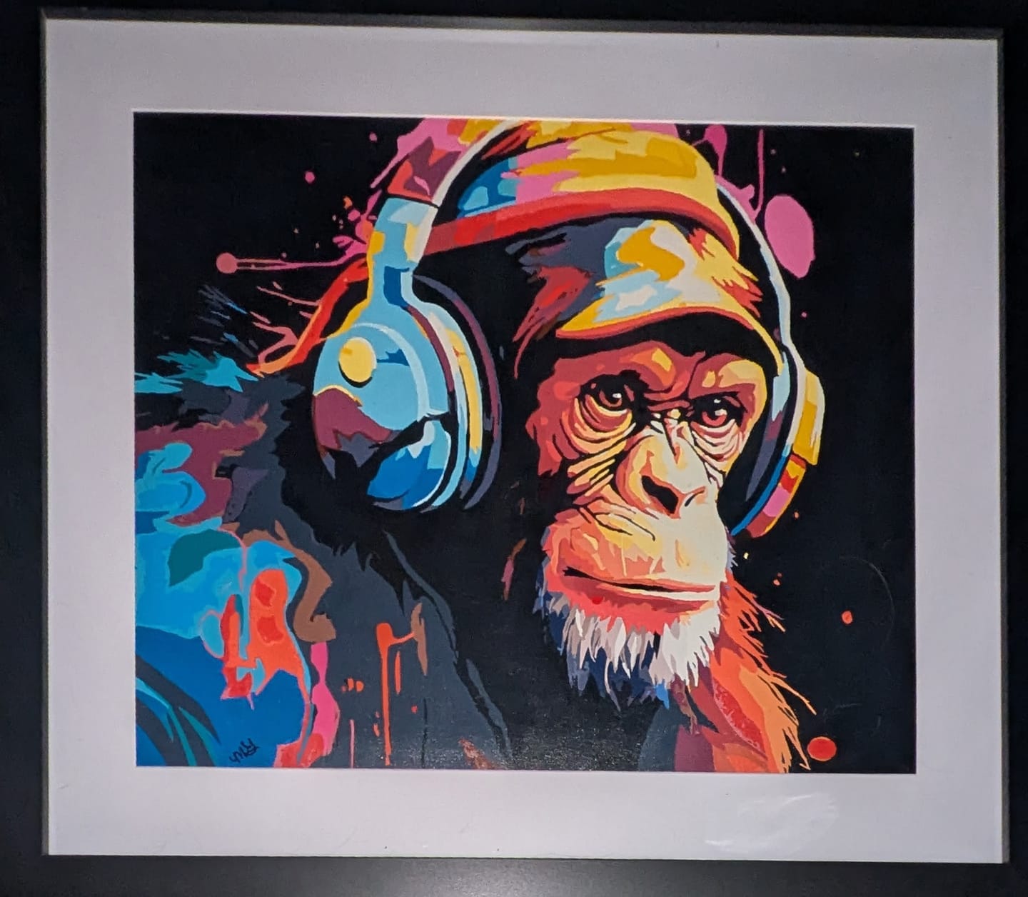 Customer photo review of Hip Hop Chimp