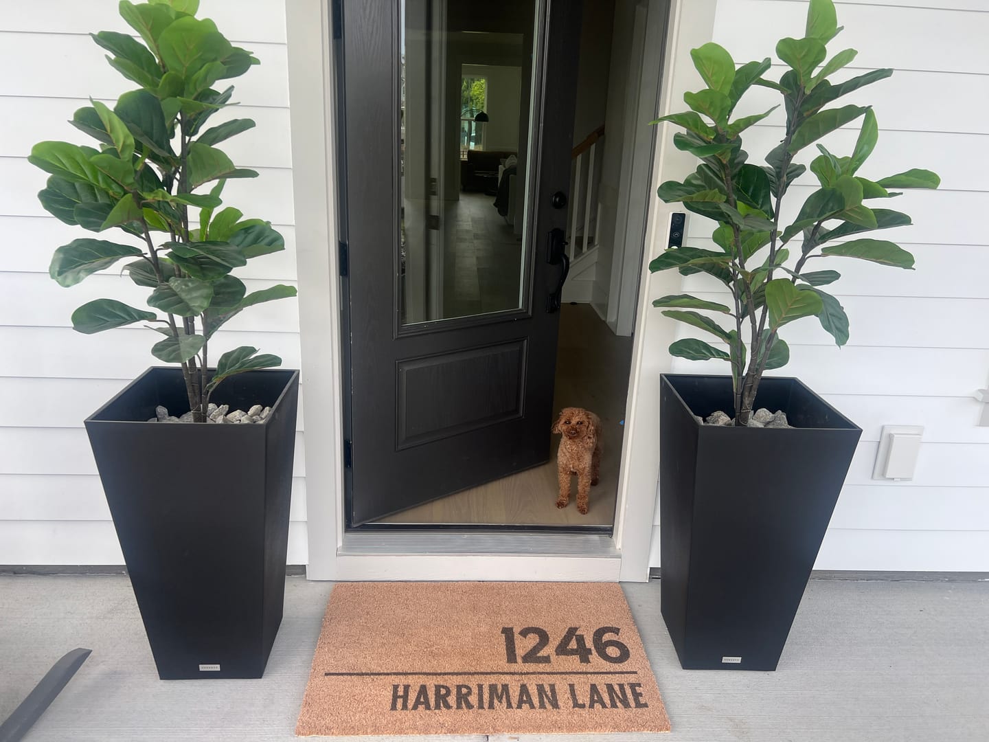 Customer photo review of Fully Personalized Entryway Doormat with Font Options