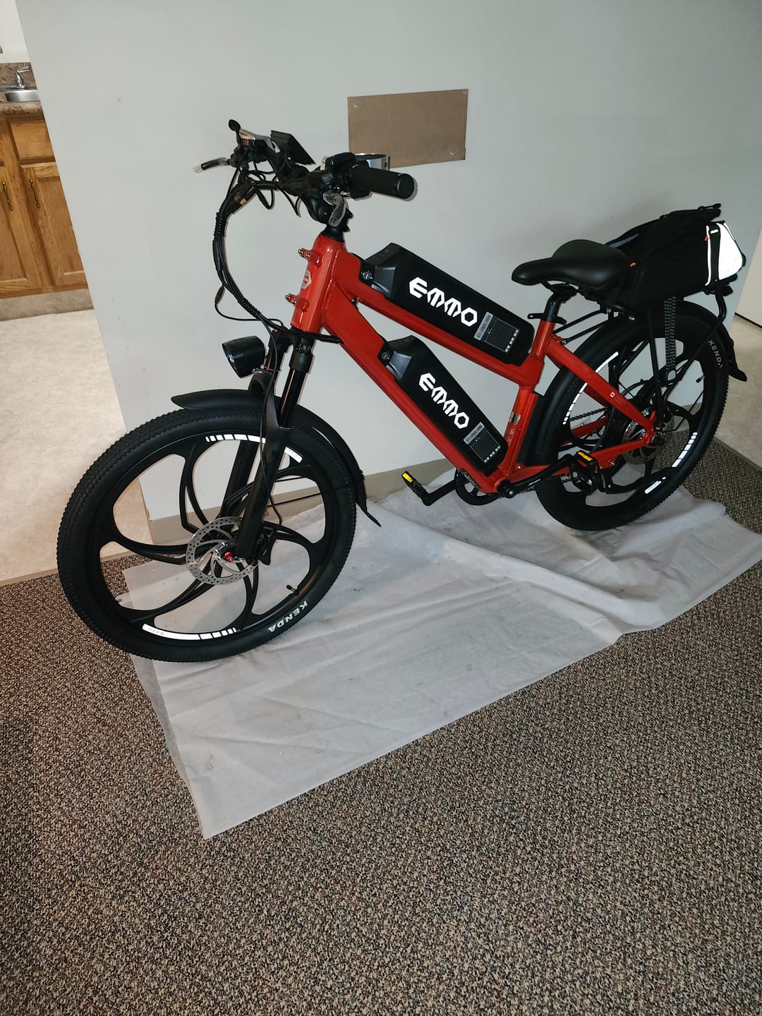 Customer photo review of Monta Dual Ebike