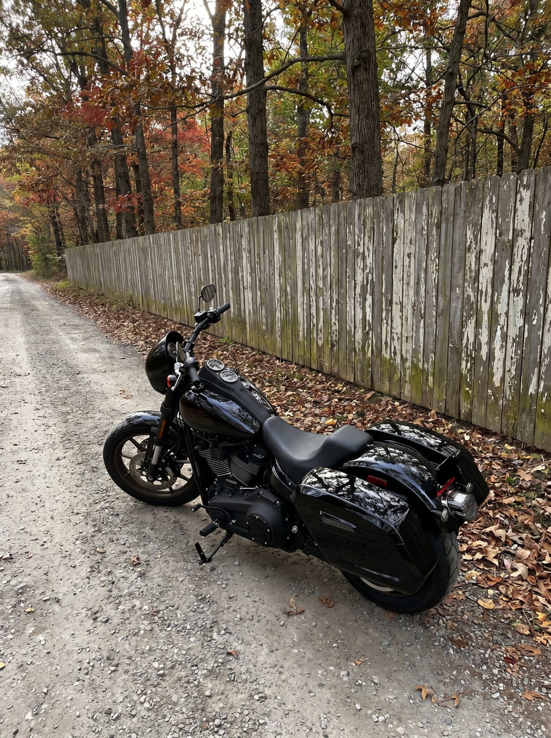 Customer photo review of 56L - Titan XL Chopped Saddlebags for 2025+ Harley Softail Low Rider S FXLRS