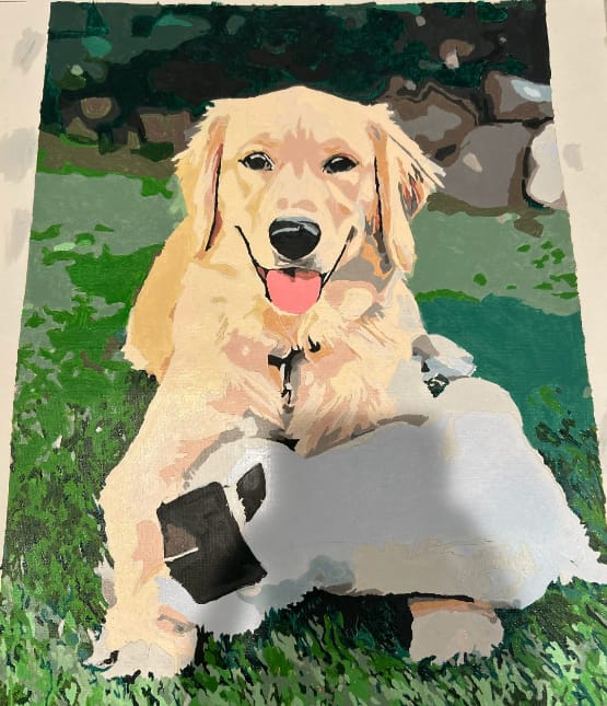 Customer photo review of Custom Paint By Numbers - Personalized Pet Portraits