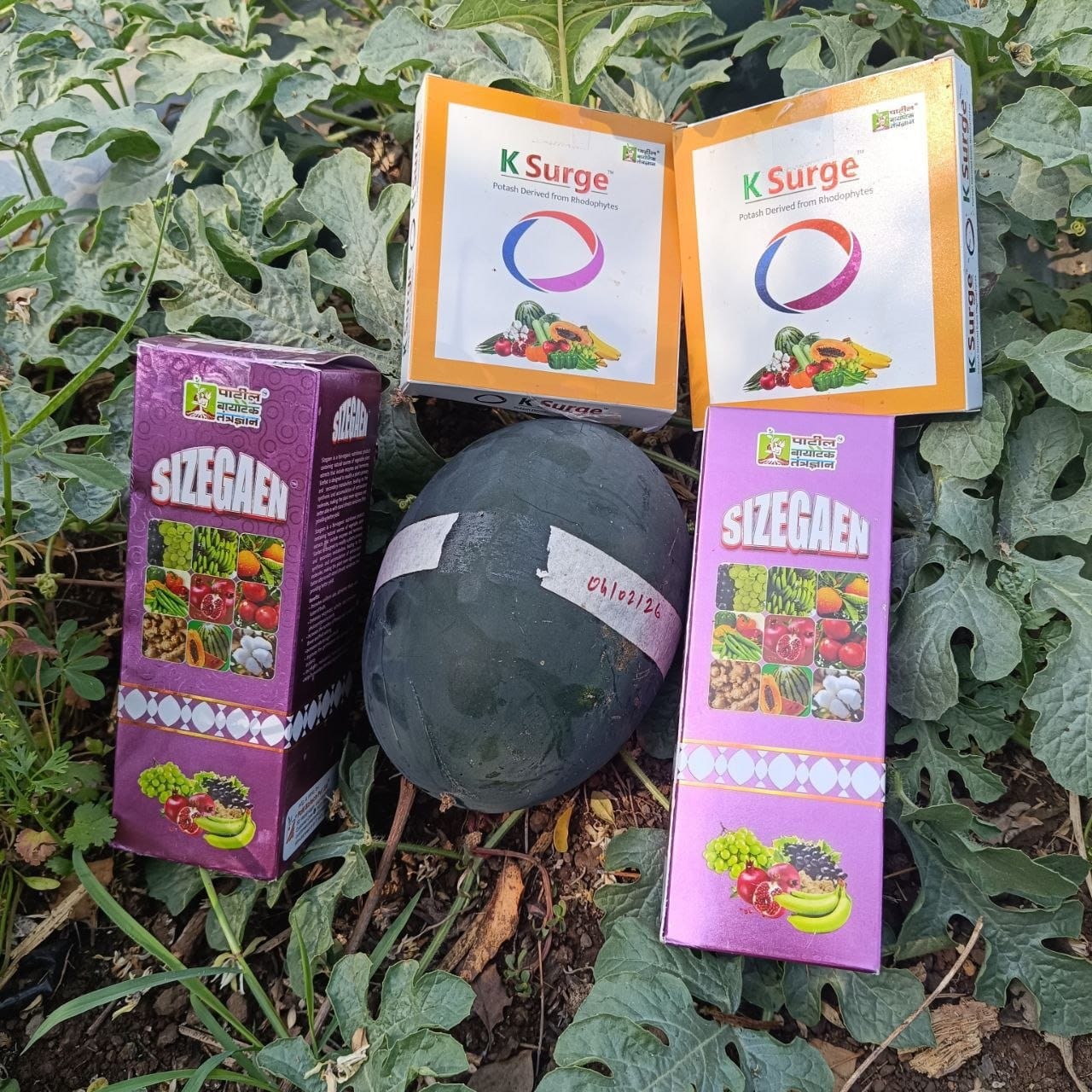 Customer photo review of Sizegaen