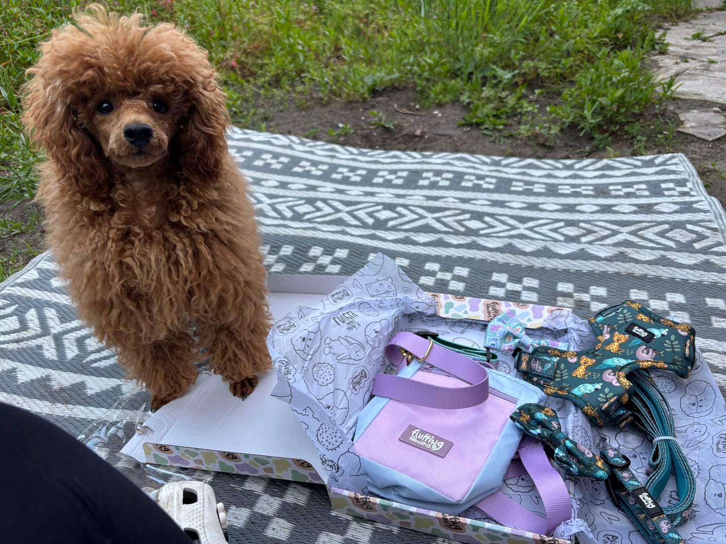Customer photo review of Treat Pouch