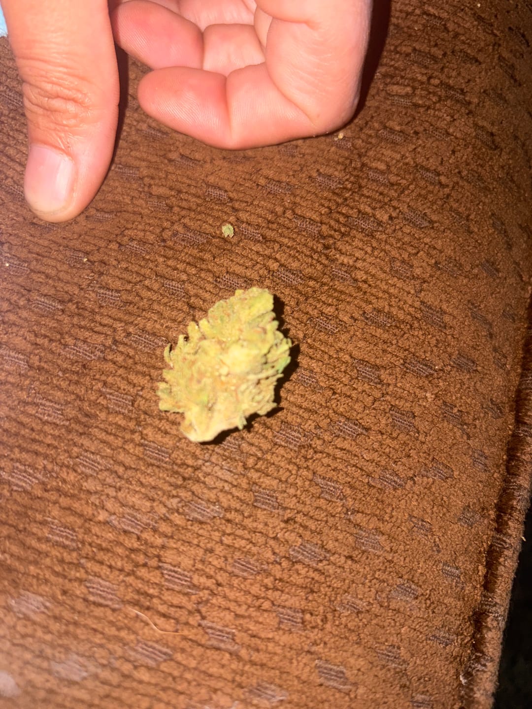 Customer photo review of Green Crack - 14 Grams - Sativa
