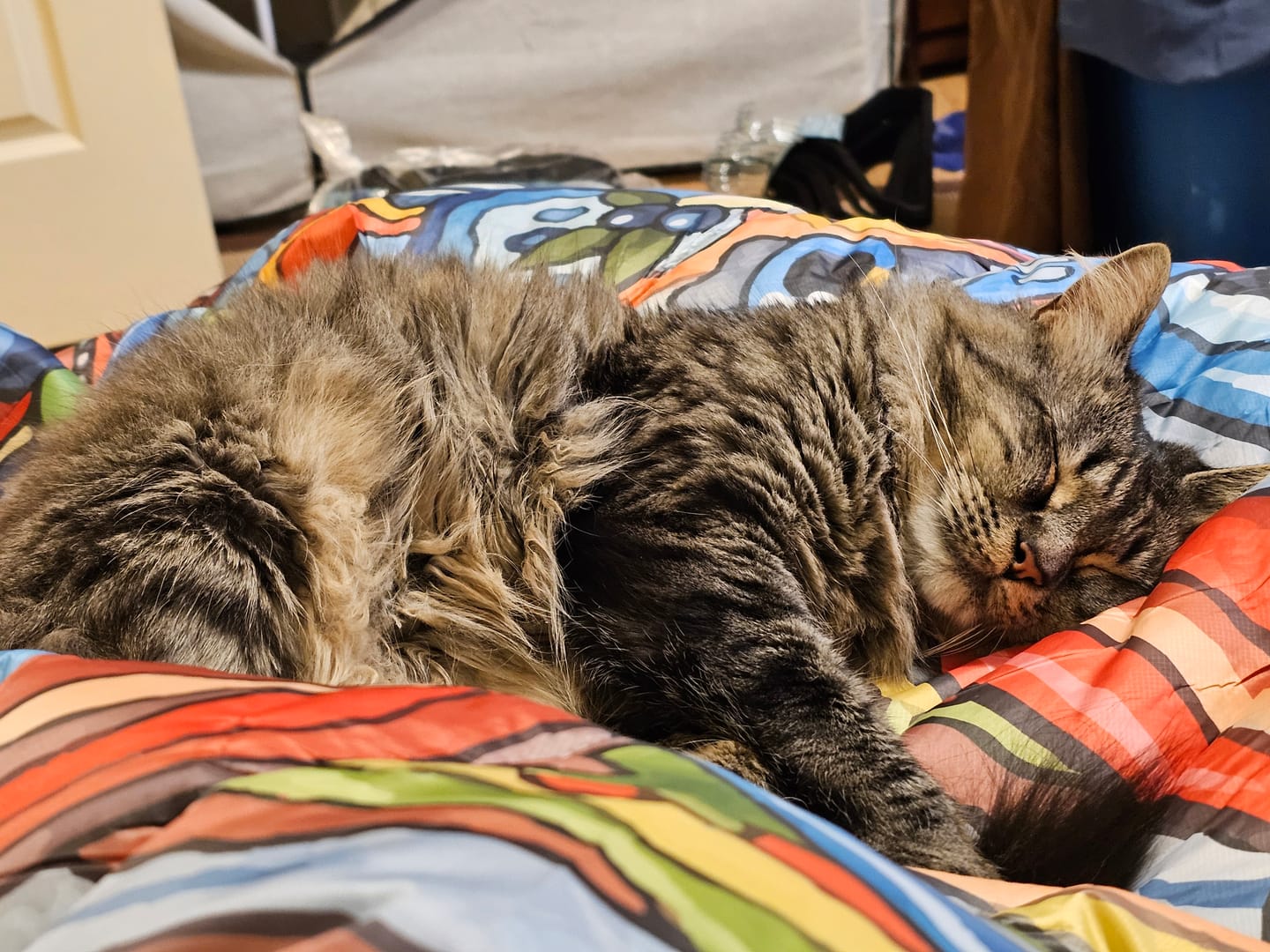 Customer photo review of Limited Edition Charvana Fishe x Rumpl Puffy Blanket