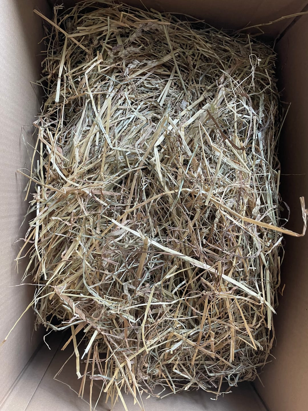 Customer photo review of Foin de prairie